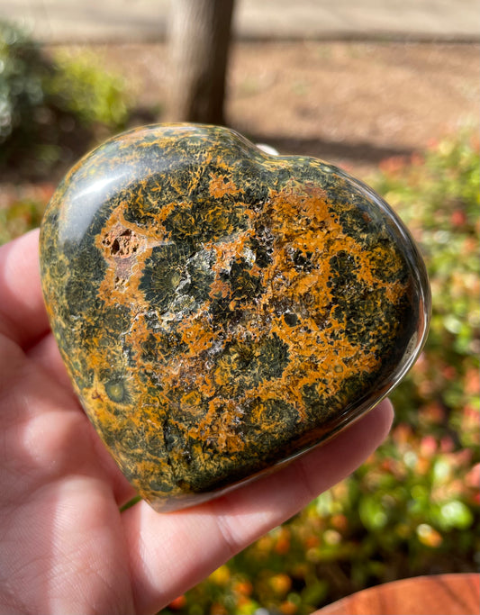 Ocean Jasper Crystal Heart