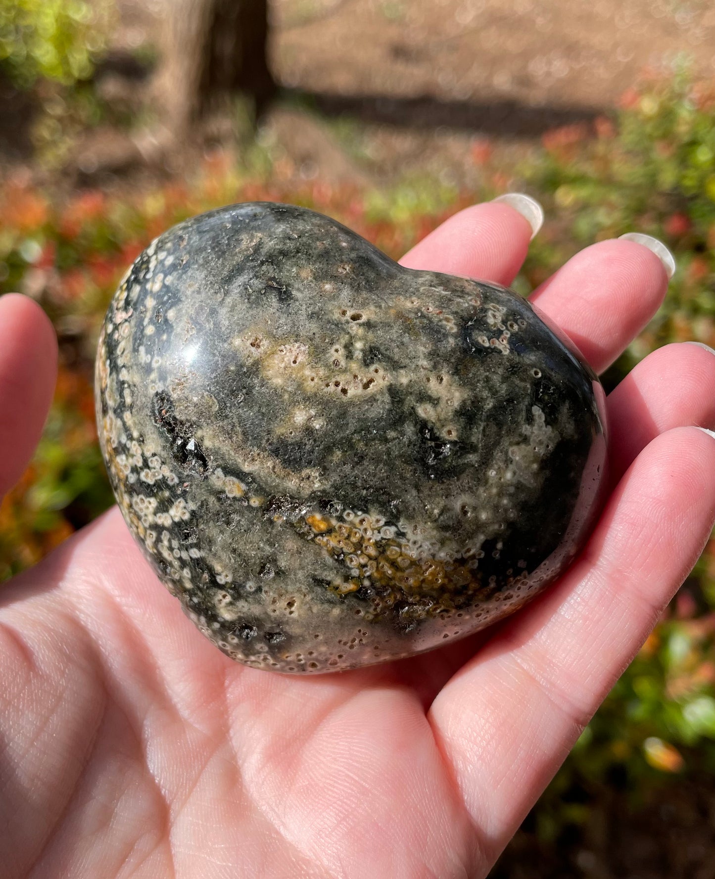 Ocean Jasper Crystal Heart