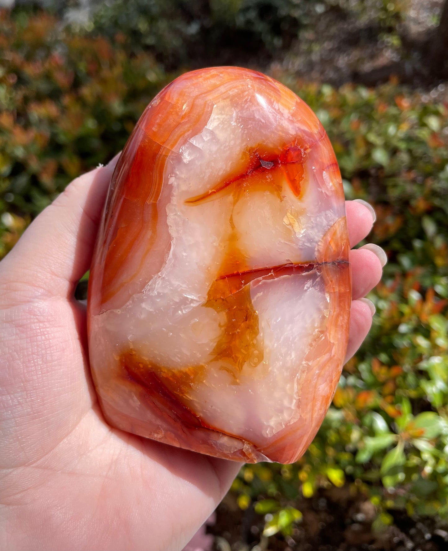 Carnelian Crystal Self Standing Free Form